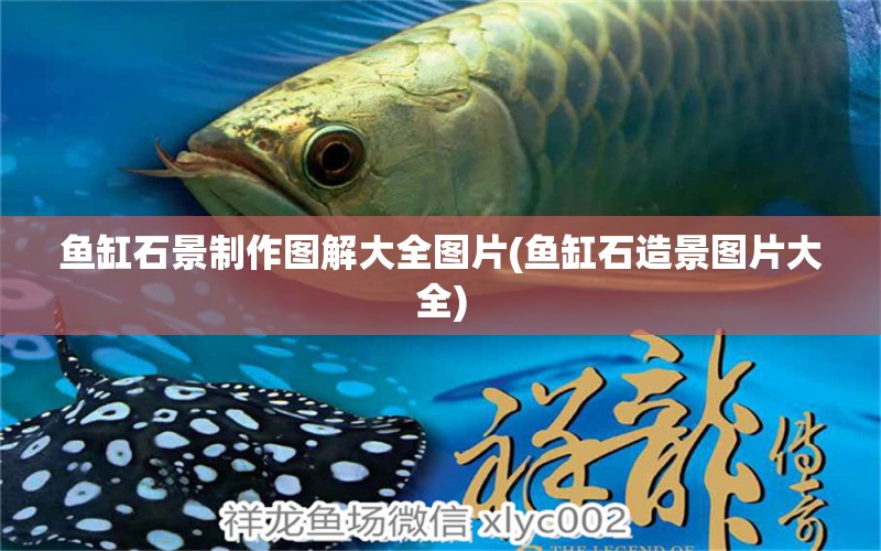 魚缸石景制作圖解大全圖片(魚缸石造景圖片大全) 鴨嘴鯊魚 第1張