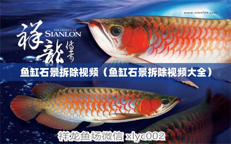 魚缸石景拆除視頻（魚缸石景拆除視頻大全） 紅白錦鯉魚