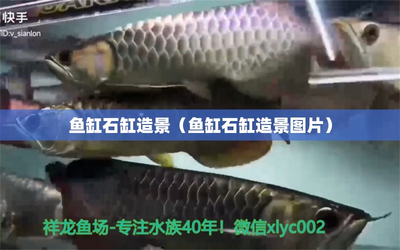 魚缸石缸造景（魚缸石缸造景圖片）