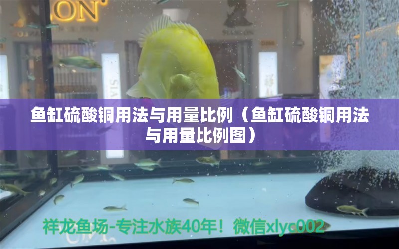 魚缸硫酸銅用法與用量比例（魚缸硫酸銅用法與用量比例圖）