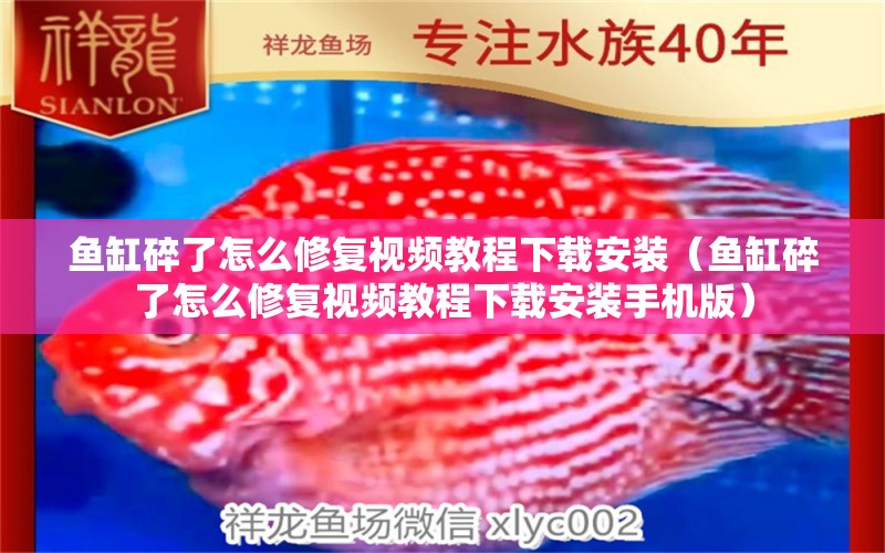 魚缸碎了怎么修復(fù)視頻教程下載安裝（魚缸碎了怎么修復(fù)視頻教程下載安裝手機(jī)版）