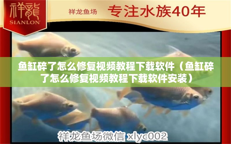 魚(yú)缸碎了怎么修復(fù)視頻教程下載軟件（魚(yú)缸碎了怎么修復(fù)視頻教程下載軟件安裝）