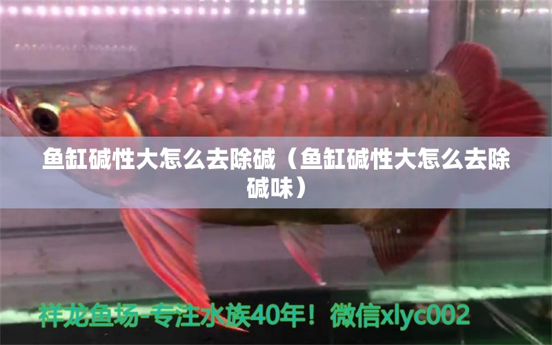 魚缸堿性大怎么去除堿（魚缸堿性大怎么去除堿味）