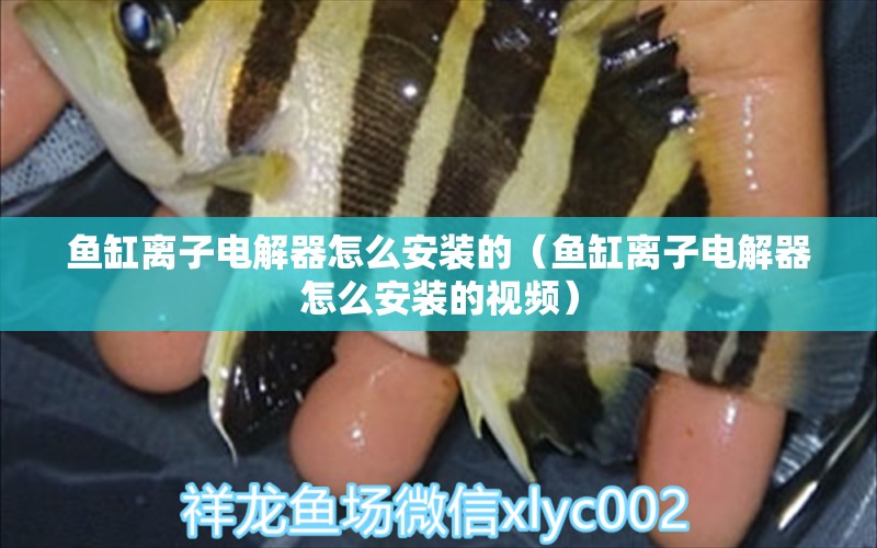 魚缸離子電解器怎么安裝的（魚缸離子電解器怎么安裝的視頻）