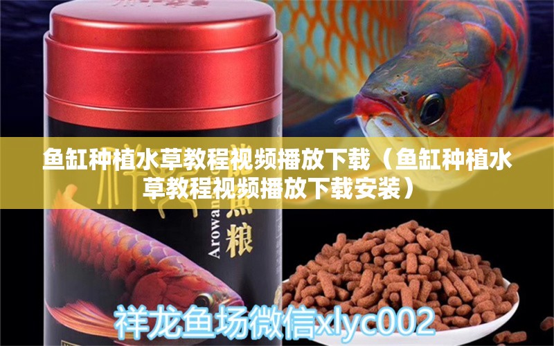 魚(yú)缸種植水草教程視頻播放下載（魚(yú)缸種植水草教程視頻播放下載安裝） 水草