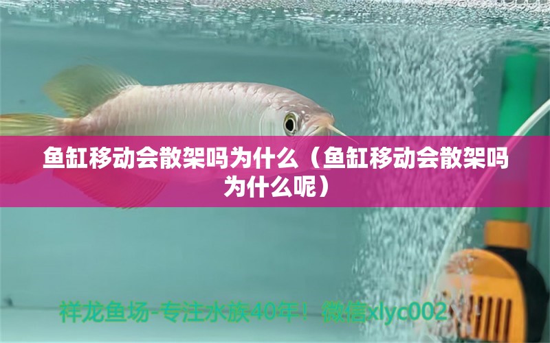 魚缸移動會散架嗎為什么（魚缸移動會散架嗎為什么呢）