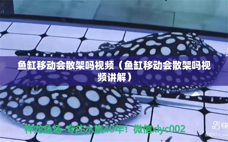 魚缸移動會散架嗎視頻（魚缸移動會散架嗎視頻講解）