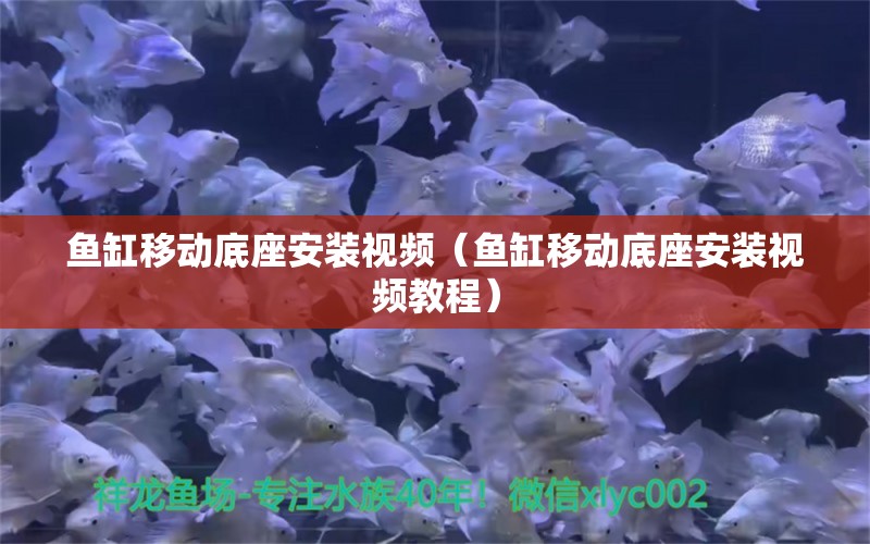 魚缸移動底座安裝視頻（魚缸移動底座安裝視頻教程）