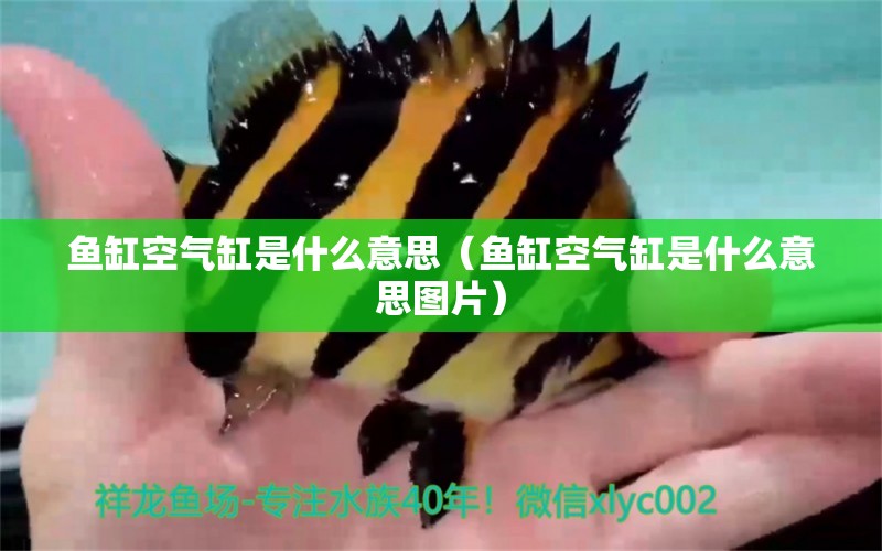 魚(yú)缸空氣缸是什么意思（魚(yú)缸空氣缸是什么意思圖片）