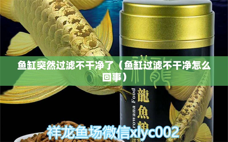 魚缸突然過濾不干凈了（魚缸過濾不干凈怎么回事）