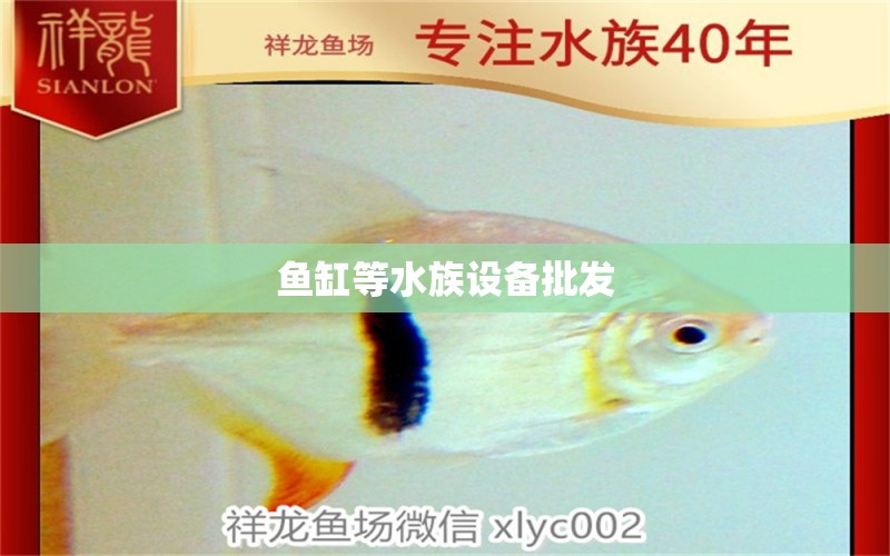 魚缸等水族設備批發(fā)