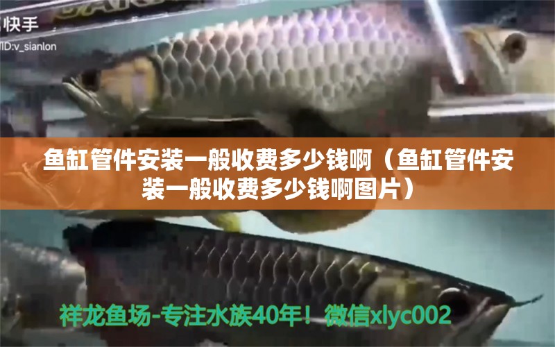 魚缸管件安裝一般收費(fèi)多少錢啊（魚缸管件安裝一般收費(fèi)多少錢啊圖片）