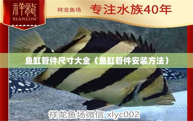 魚缸管件尺寸大全（魚缸管件安裝方法） 白子關(guān)刀魚