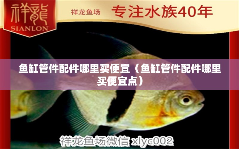 魚缸管件配件哪里買便宜（魚缸管件配件哪里買便宜點） 觀賞魚市場（混養(yǎng)魚）