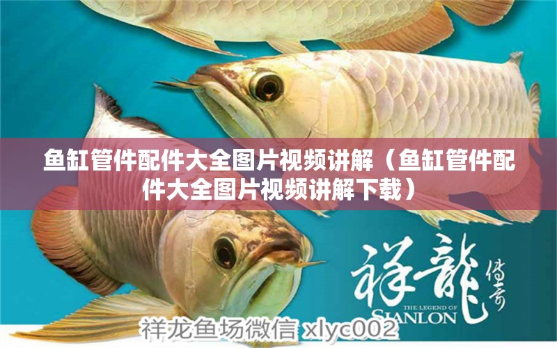 魚缸管件配件大全圖片視頻講解（魚缸管件配件大全圖片視頻講解下載）