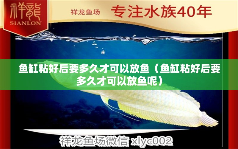 魚缸粘好后要多久才可以放魚（魚缸粘好后要多久才可以放魚呢） 其他品牌魚缸