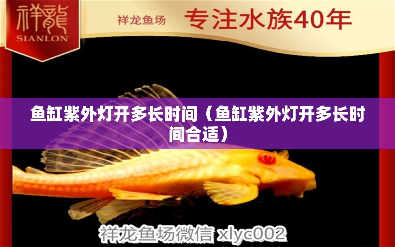 魚缸紫外燈開多長時間（魚缸紫外燈開多長時間合適）