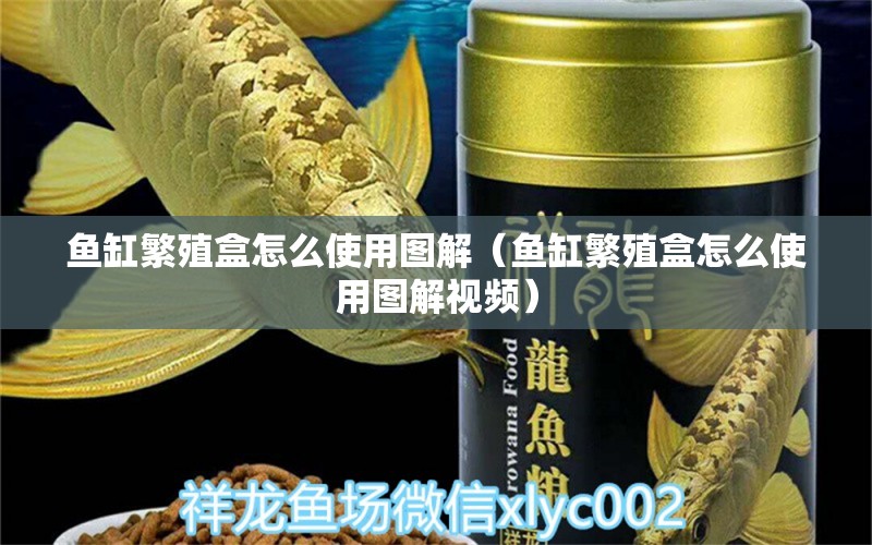 魚缸繁殖盒怎么使用圖解（魚缸繁殖盒怎么使用圖解視頻）