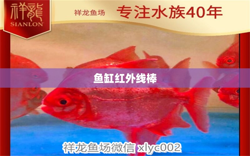 魚(yú)缸紅外線棒