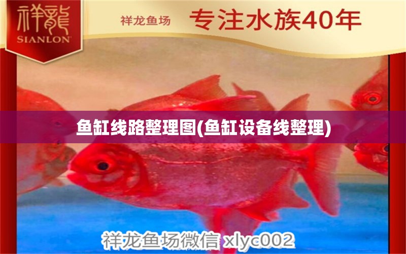 魚缸線路整理圖(魚缸設(shè)備線整理) 藍(lán)帆三間魚