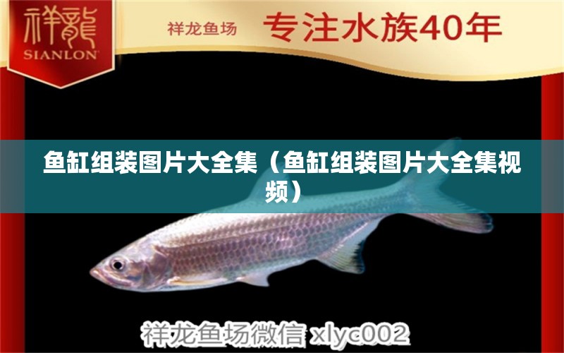 魚(yú)缸組裝圖片大全集（魚(yú)缸組裝圖片大全集視頻）