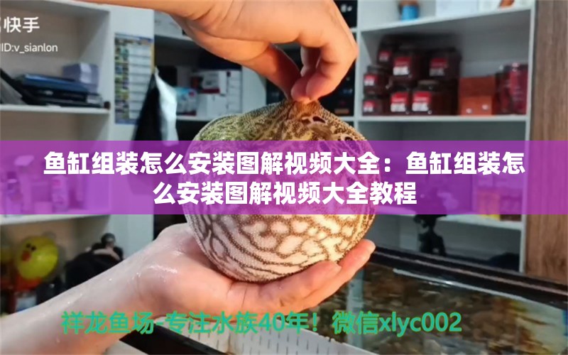 魚缸組裝怎么安裝圖解視頻大全：魚缸組裝怎么安裝圖解視頻大全教程