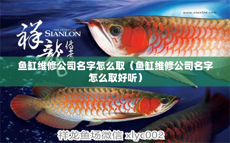 魚缸維修公司名字怎么?。~缸維修公司名字怎么取好聽）