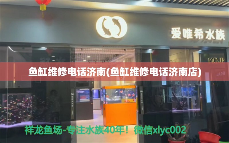 魚缸維修電話濟(jì)南(魚缸維修電話濟(jì)南店) 廣州龍魚批發(fā)市場(chǎng) 第2張