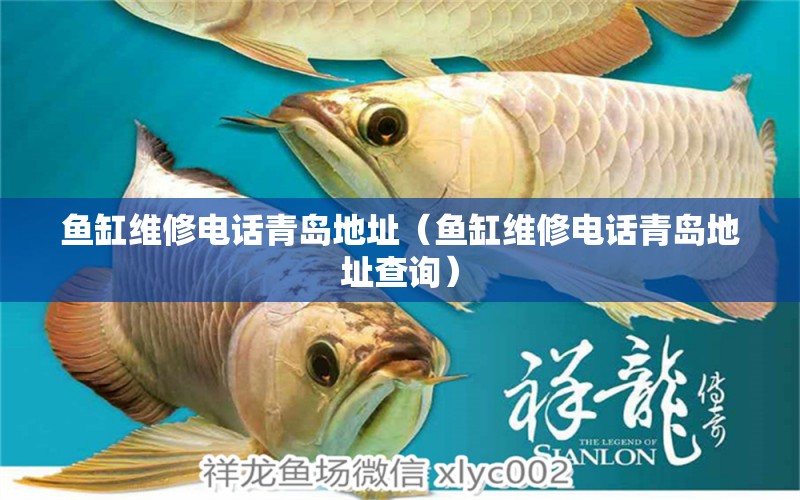 魚(yú)缸維修電話青島地址（魚(yú)缸維修電話青島地址查詢）