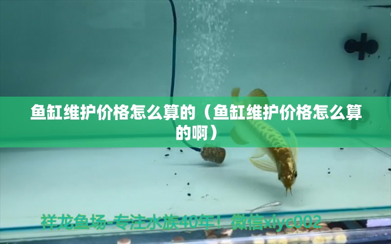 魚缸維護(hù)價(jià)格怎么算的（魚缸維護(hù)價(jià)格怎么算的?。?量子養(yǎng)魚技術(shù)