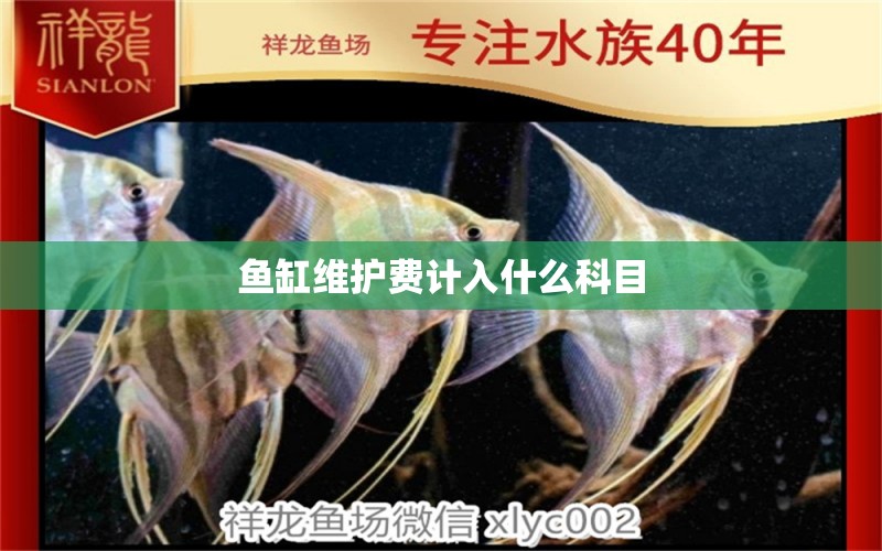 魚缸維護費計入什么科目 其他品牌魚缸