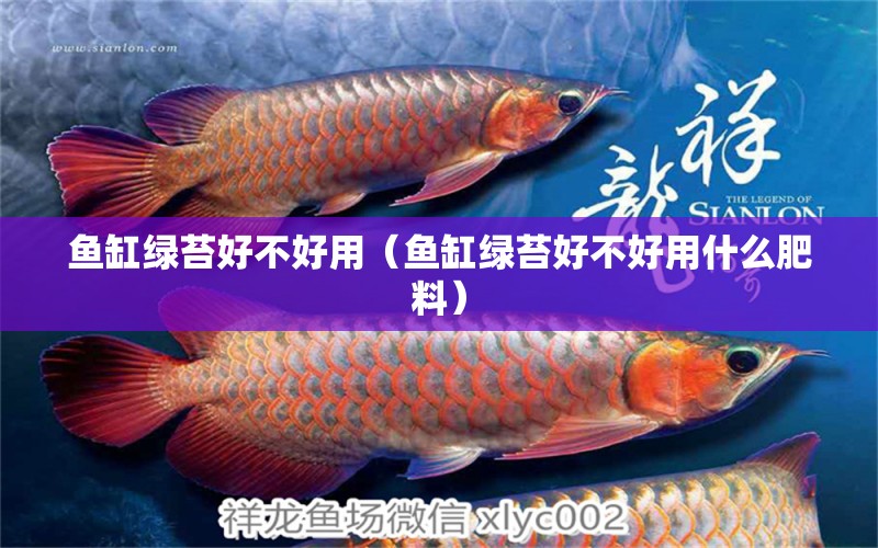 魚缸綠苔好不好用（魚缸綠苔好不好用什么肥料）