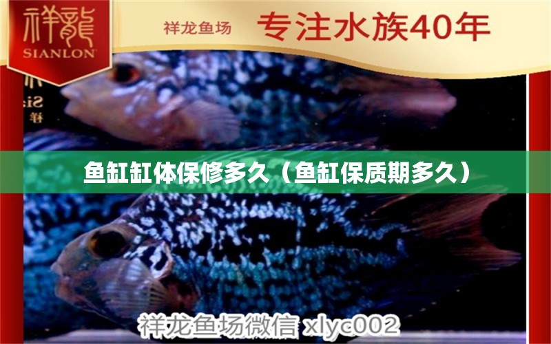 魚缸缸體保修多久（魚缸保質期多久） 熊貓異形魚L46