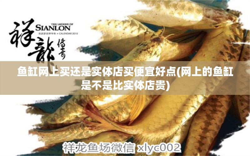 魚缸網(wǎng)上買還是實(shí)體店買便宜好點(diǎn)(網(wǎng)上的魚缸是不是比實(shí)體店貴)