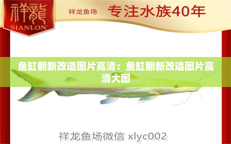 魚缸翻新改造圖片高清：魚缸翻新改造圖片高清大圖 觀賞魚