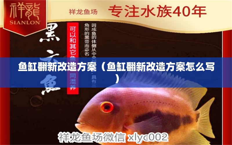 魚(yú)缸翻新改造方案（魚(yú)缸翻新改造方案怎么寫） 祥龍水族醫(yī)院