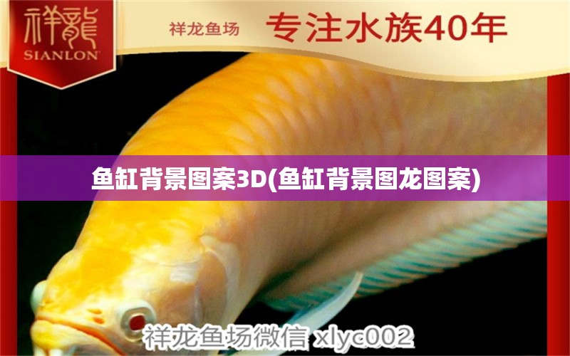 魚缸背景圖案3D(魚缸背景圖龍圖案) 巨骨舌魚