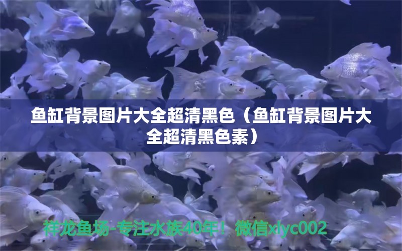 魚缸背景圖片大全超清黑色（魚缸背景圖片大全超清黑色素）