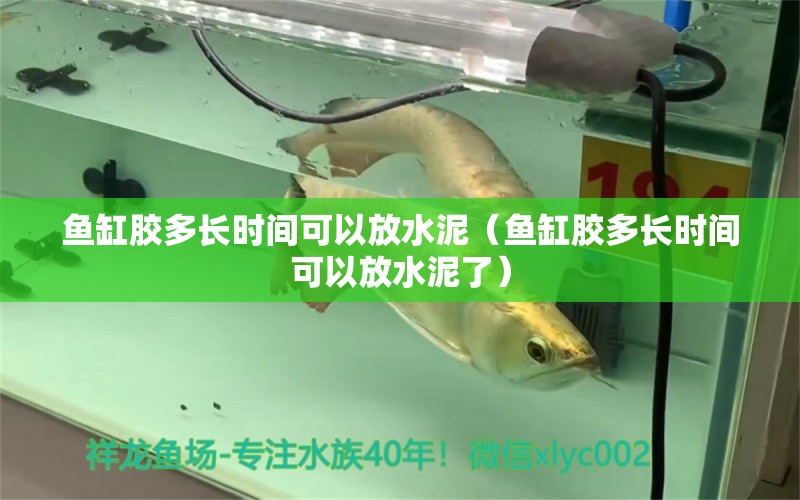 魚(yú)缸膠多長(zhǎng)時(shí)間可以放水泥（魚(yú)缸膠多長(zhǎng)時(shí)間可以放水泥了）