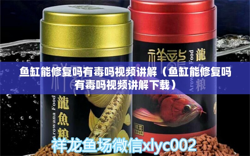 魚缸能修復(fù)嗎有毒嗎視頻講解（魚缸能修復(fù)嗎有毒嗎視頻講解下載）