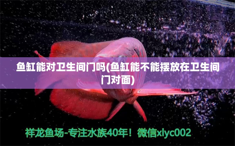 魚缸能對衛(wèi)生間門嗎(魚缸能不能擺放在衛(wèi)生間門對面) 白玉紅龍魚