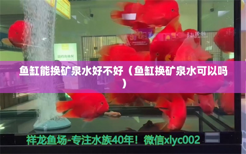 魚缸能換礦泉水好不好（魚缸換礦泉水可以嗎）