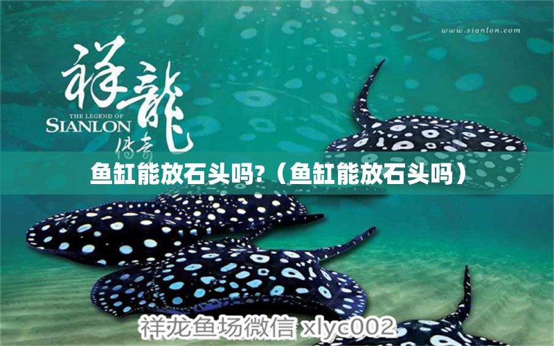 魚缸能放石頭嗎?（魚缸能放石頭嗎）