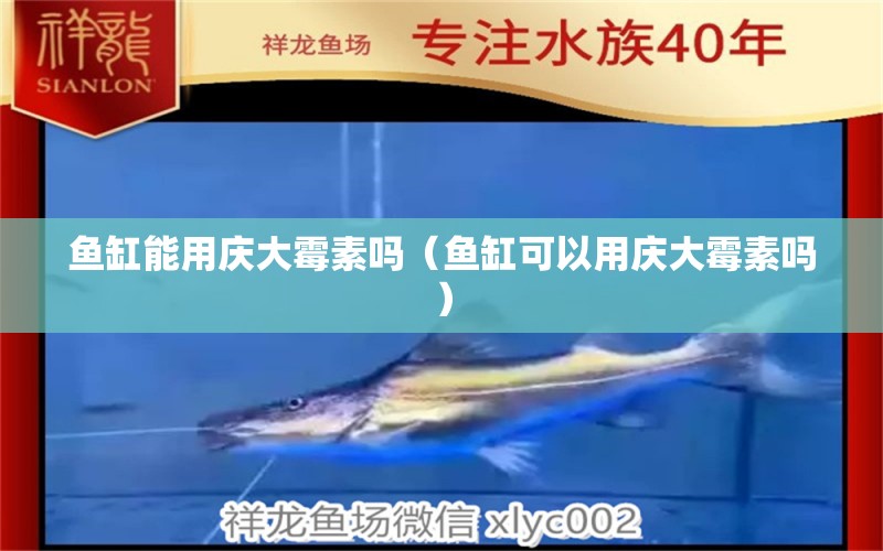 魚(yú)缸能用慶大霉素嗎（魚(yú)缸可以用慶大霉素嗎）