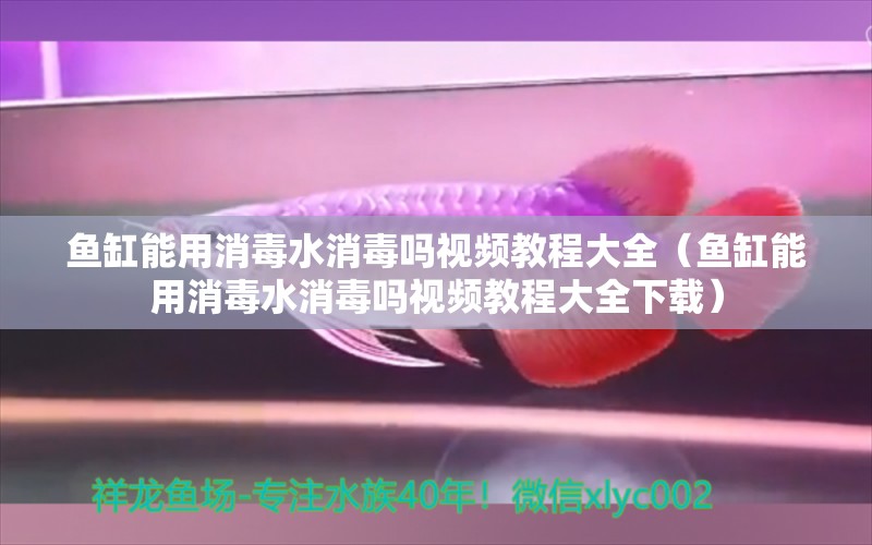 魚缸能用消毒水消毒嗎視頻教程大全（魚缸能用消毒水消毒嗎視頻教程大全下載）