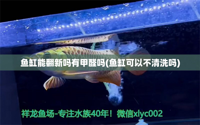 魚缸能翻新嗎有甲醛嗎(魚缸可以不清洗嗎)