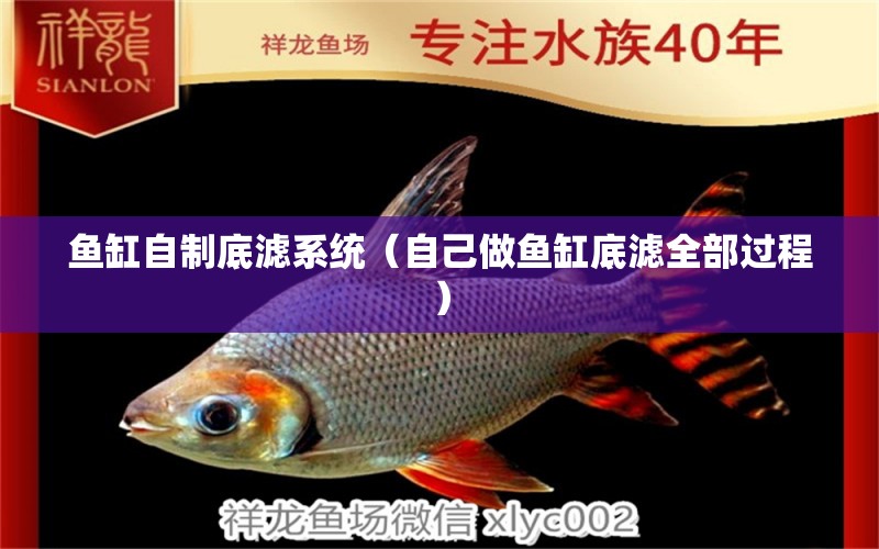 魚缸自制底濾系統(tǒng)（自己做魚缸底濾全部過程）