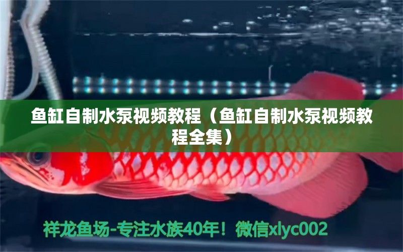 魚缸自制水泵視頻教程（魚缸自制水泵視頻教程全集）