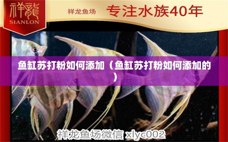 魚缸蘇打粉如何添加（魚缸蘇打粉如何添加的）