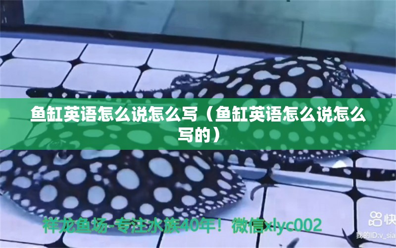 魚缸英語怎么說怎么寫（魚缸英語怎么說怎么寫的） 祥龍水族醫(yī)院